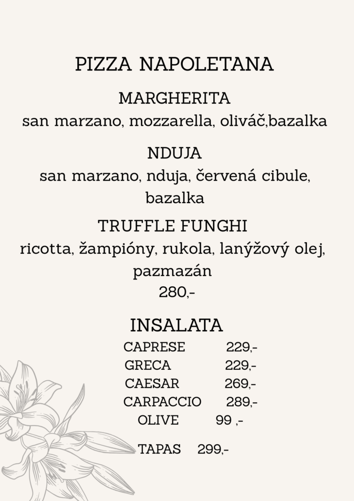 Kopie návrhu hovězí stroganov, jasmínová rýže 199, (19)